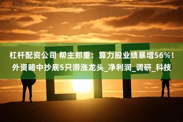 杠杆配资公司 帮主郑重：算力股业绩暴增56%！外资暗中抄底5只滞涨龙头_净利润_调研_科技