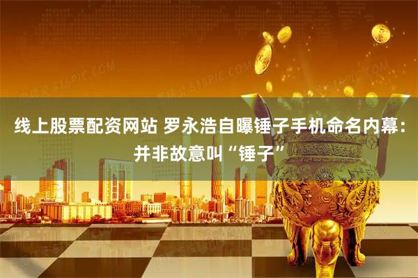 线上股票配资网站 罗永浩自曝锤子手机命名内幕：并非故意叫“锤子”