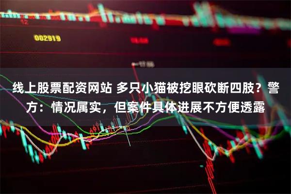 线上股票配资网站 多只小猫被挖眼砍断四肢？警方：情况属实，但案件具体进展不方便透露