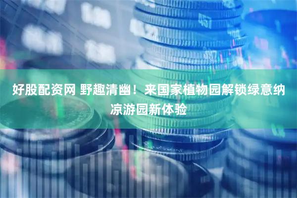 好股配资网 野趣清幽!来国家植物园解锁绿意纳凉游园新体验