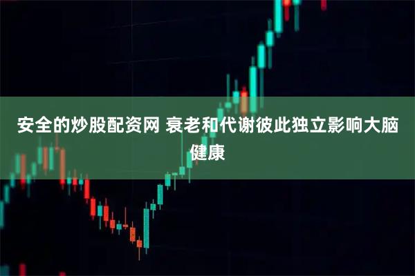 安全的炒股配资网 衰老和代谢彼此独立影响大脑健康