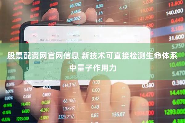 股票配资网官网信息 新技术可直接检测生命体系中量子作用力